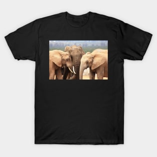 African Wildlife Photography Elephant Family T-Shirt